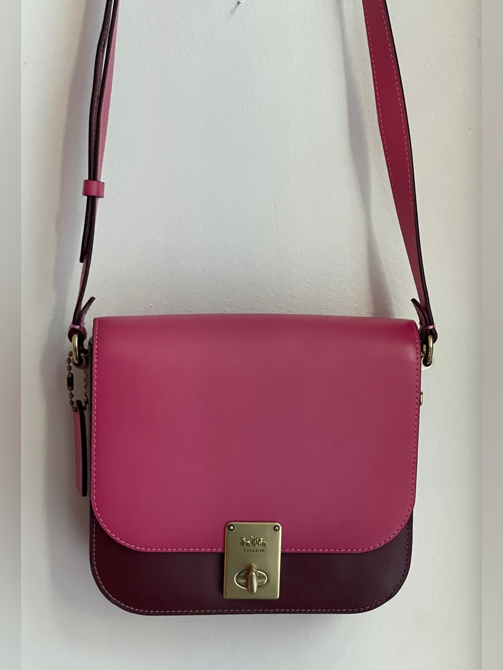 Coach Colorblock Leather Hutton Saddle Crossbody Bag with Gold Hardware - Picture 3 of 16